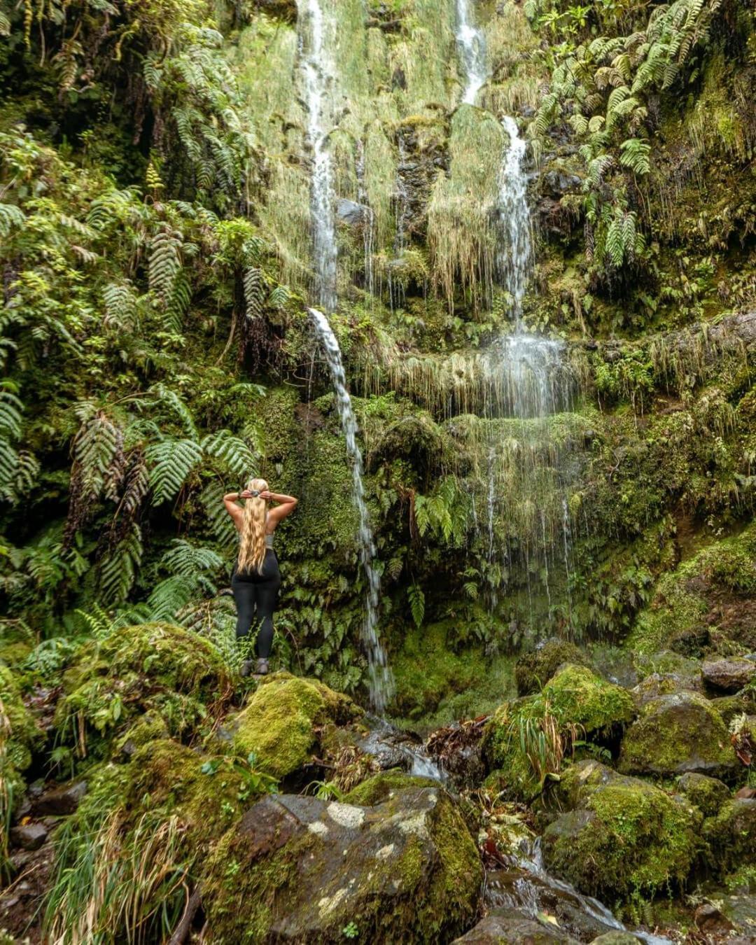 Pana House Daire Calheta  Dış mekan fotoğraf