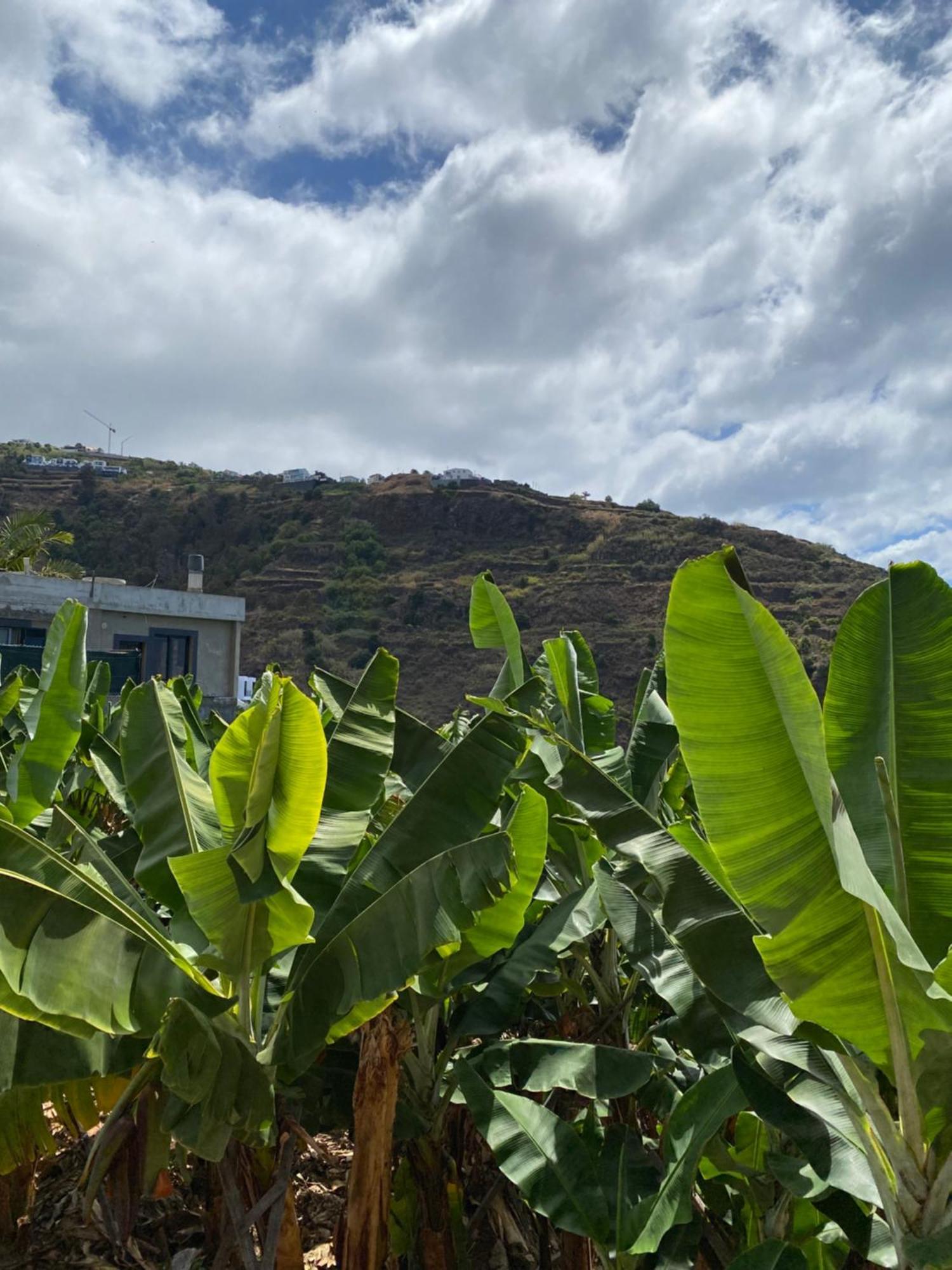 Pana House Daire Calheta  Dış mekan fotoğraf